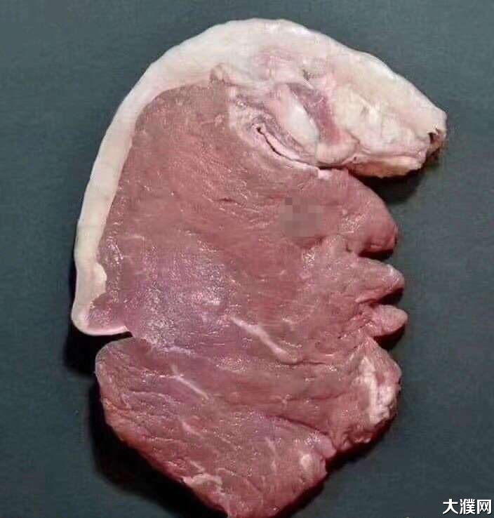 濮阳_大濮网_濮阳人网上交流的平台,濮阳网,濮阳论